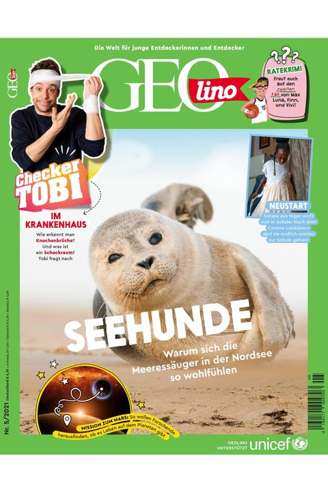 GEOlino Nr. 05/2021: Seehunde