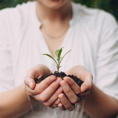 Nachhaltigkeit: Packen wir's an! - Die Inhalte zum Thementag