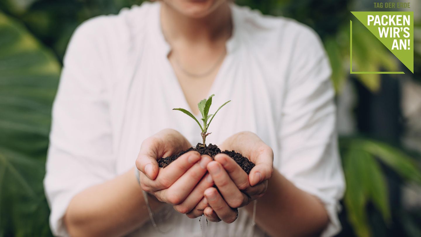 Nachhaltigkeit: Packen wir's an! - Die Inhalte zum Thementag