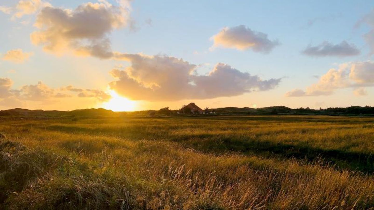 Dünenlandschaft bei De Koog