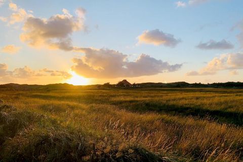Dünenlandschaft bei De Koog