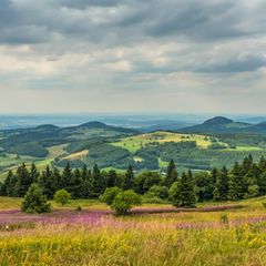 Quiz: Was wissen Sie über den Zustand der Natur in Deutschland?