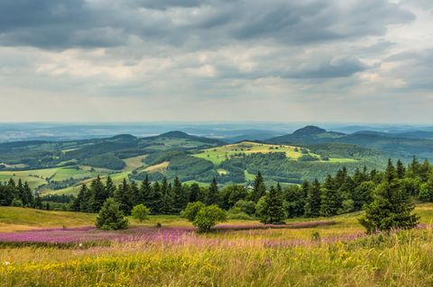 Quiz: Was wissen Sie über den Zustand der Natur in Deutschland?