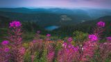 21.04.2021  "Die blaue Stunde zieht über den Feldberg ein und verzaubert alles in ein wunderschönes, buntes Licht. Der kleine Feldberg-See im Hintergrund ist nochmals ein kleine Eye-Catcher."      Ort: Feldberg, Schwarzwald  Kamera: Nikon D5500 mit Sigma 10-20mm + Haida Verlaufsfilter  Mehr Fotos von Nicolas Gasch