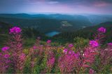21.04.2021  "Die blaue Stunde zieht über den Feldberg ein und verzaubert alles in ein wunderschönes, buntes Licht. Der kleine Feldberg-See im Hintergrund ist nochmals ein kleine Eye-Catcher."      Ort: Feldberg, Schwarzwald  Kamera: Nikon D5500 mit Sigma 10-20mm + Haida Verlaufsfilter  Mehr Fotos von Nicolas Gasch