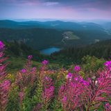21.04.2021  "Die blaue Stunde zieht über den Feldberg ein und verzaubert alles in ein wunderschönes, buntes Licht. Der kleine Feldberg-See im Hintergrund ist nochmals ein kleine Eye-Catcher."      Ort: Feldberg, Schwarzwald  Kamera: Nikon D5500 mit Sigma 10-20mm + Haida Verlaufsfilter  Mehr Fotos von Nicolas Gasch