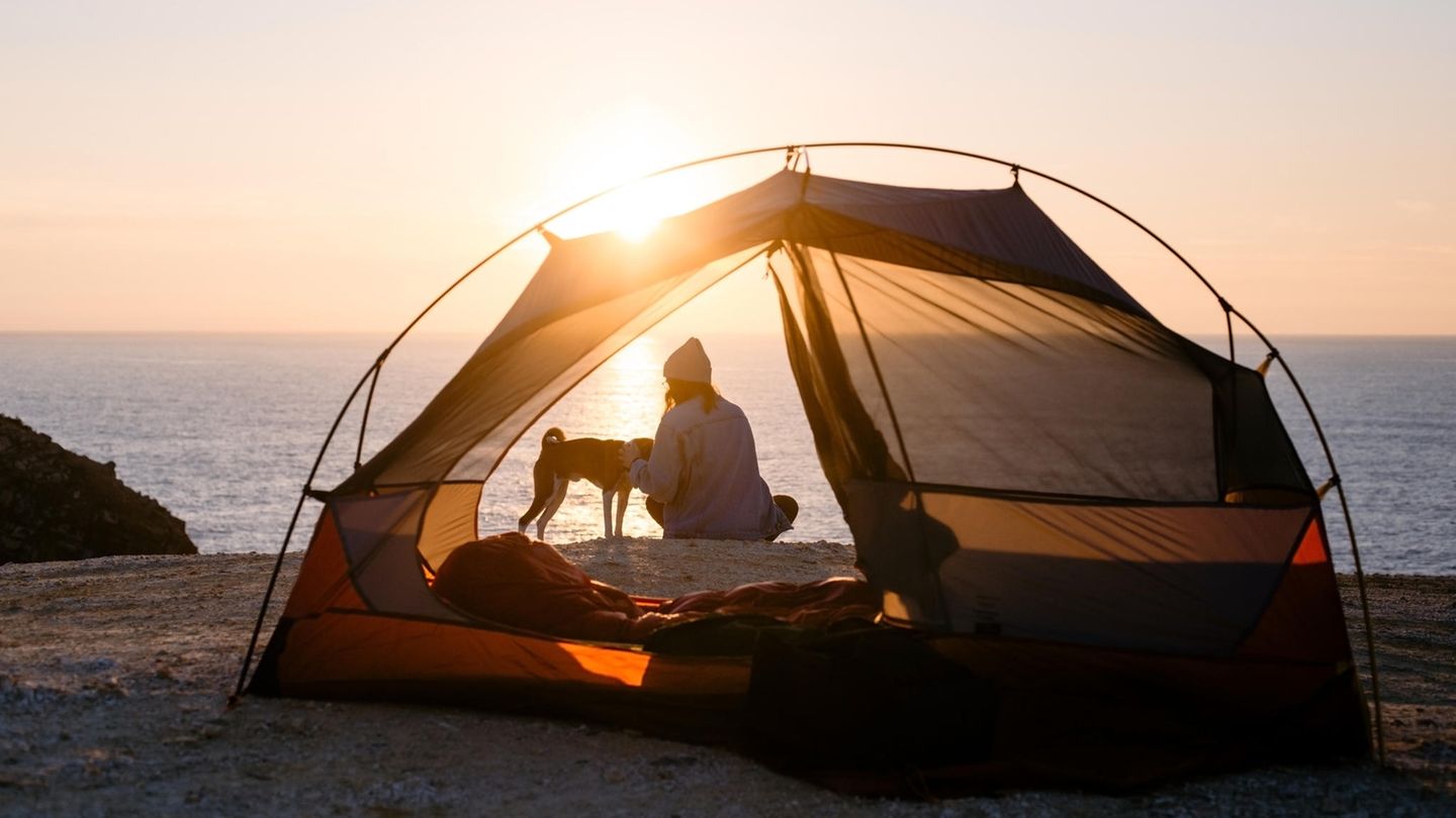 Wildcampen