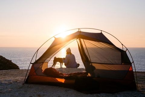 Wildcampen