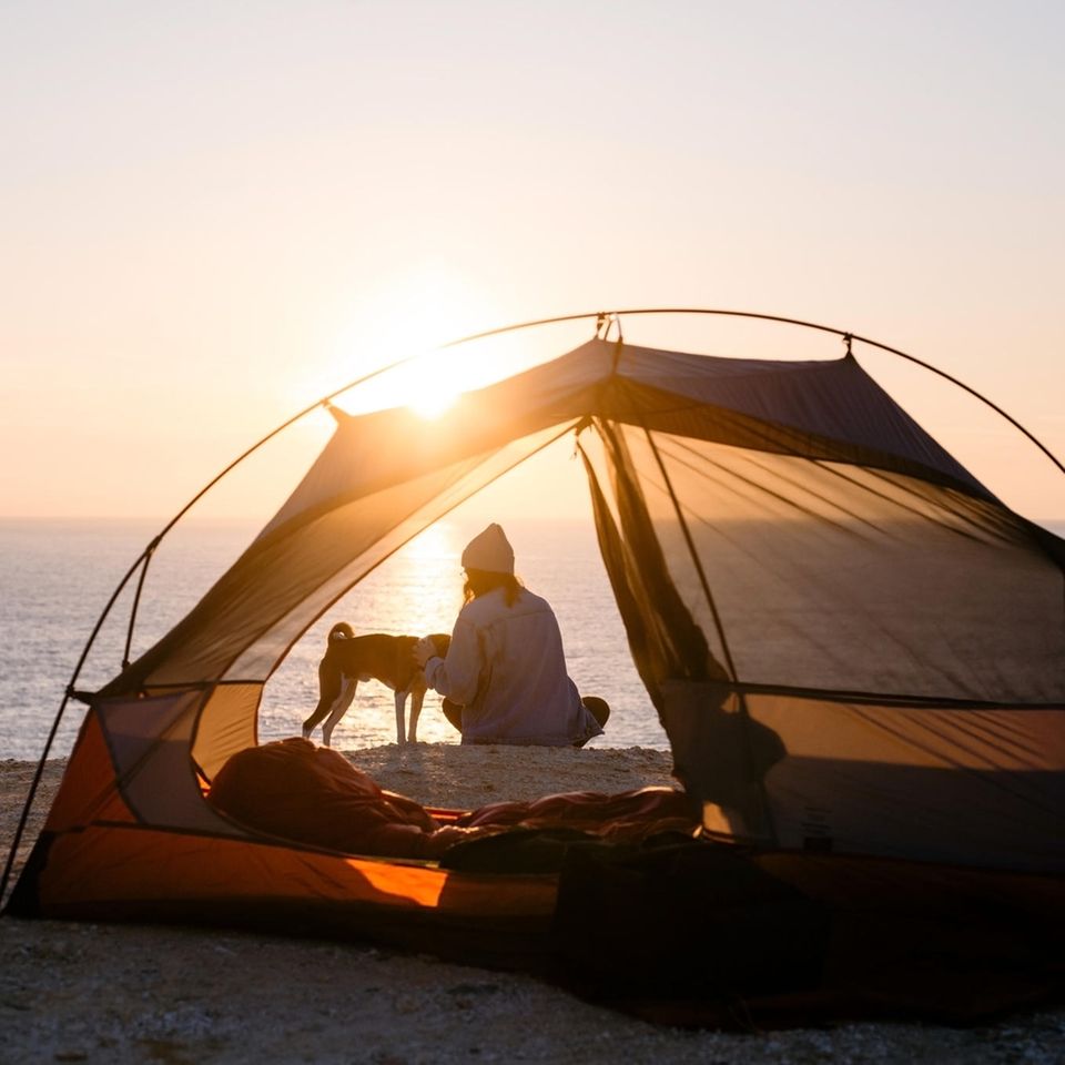 Wildcampen