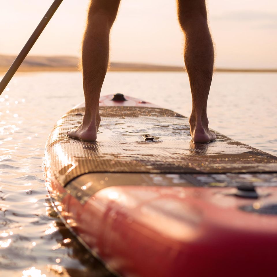 Kaspars Grinvalds / Shutterstock