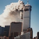 Maryann Puglisi-Muñoz