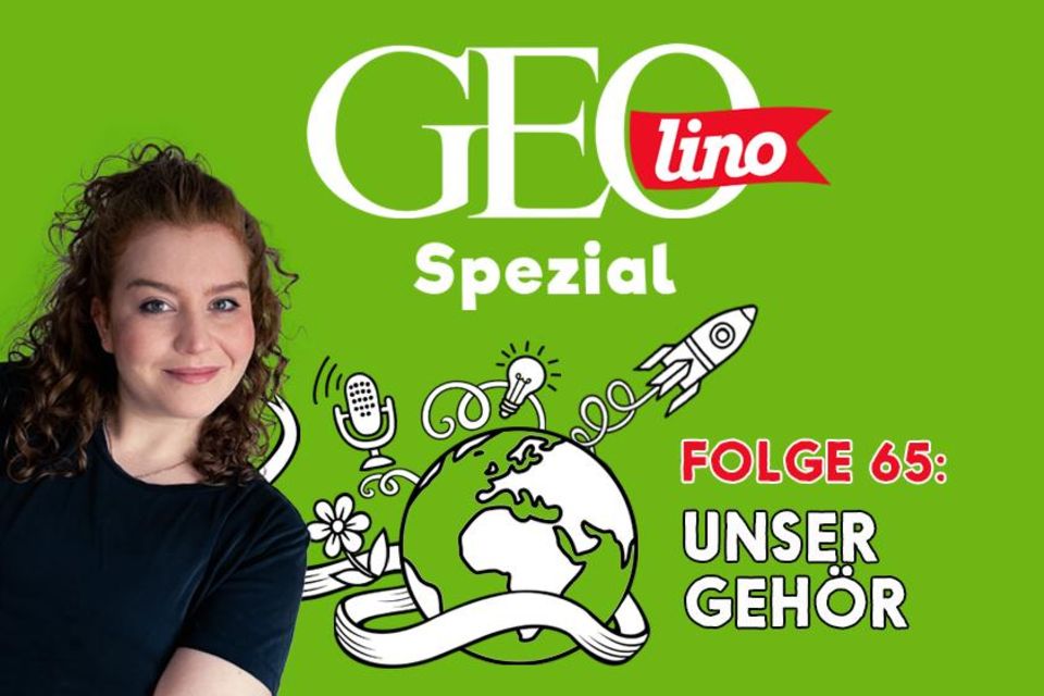 In Folge 65 unseres GEOlino-Podcasts geht es um Musik. Damit wir die überhaupt hören können, brauchen wir unser Gehör.