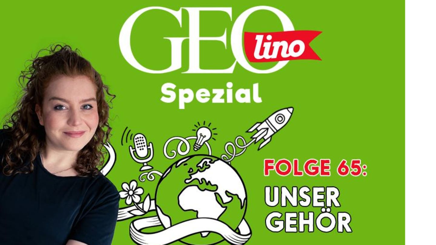 In Folge 65 unseres GEOlino-Podcasts geht es um Musik. Damit wir die überhaupt hören können, brauchen wir unser Gehör.