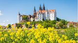 Panorama der Stadt Meißen im Frühling
