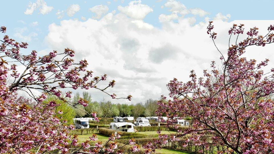 Camping: Experten empfehlen: Zehn traumhafte Campingplätze in Deutschland