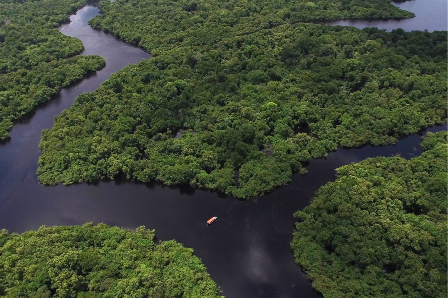 Der Regenwald in Brasilien: Ein Gebiet, das einst als "grüne Lunge" unserer Erde galt, stößt laut neuesten Studien mehr CO2 aus, als es bindet