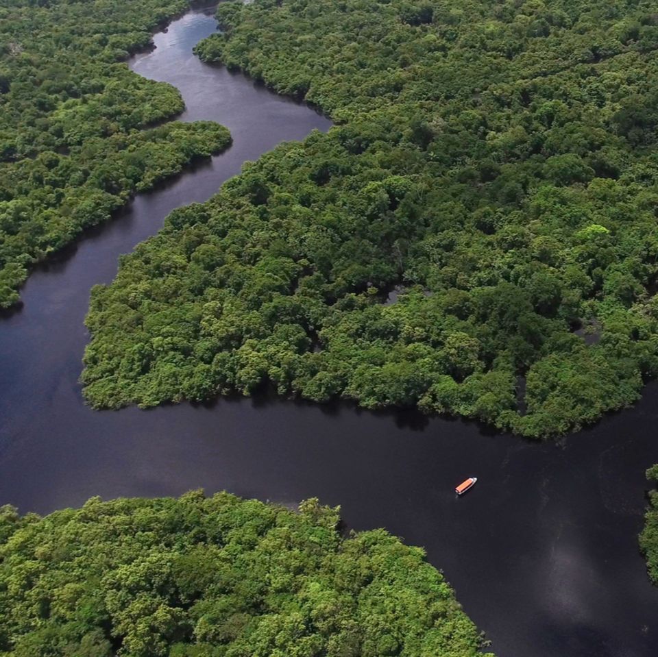 Der Regenwald in Brasilien: Ein Gebiet, das einst als "grüne Lunge" unserer Erde galt, stößt laut neuesten Studien mehr CO2 aus, als es bindet