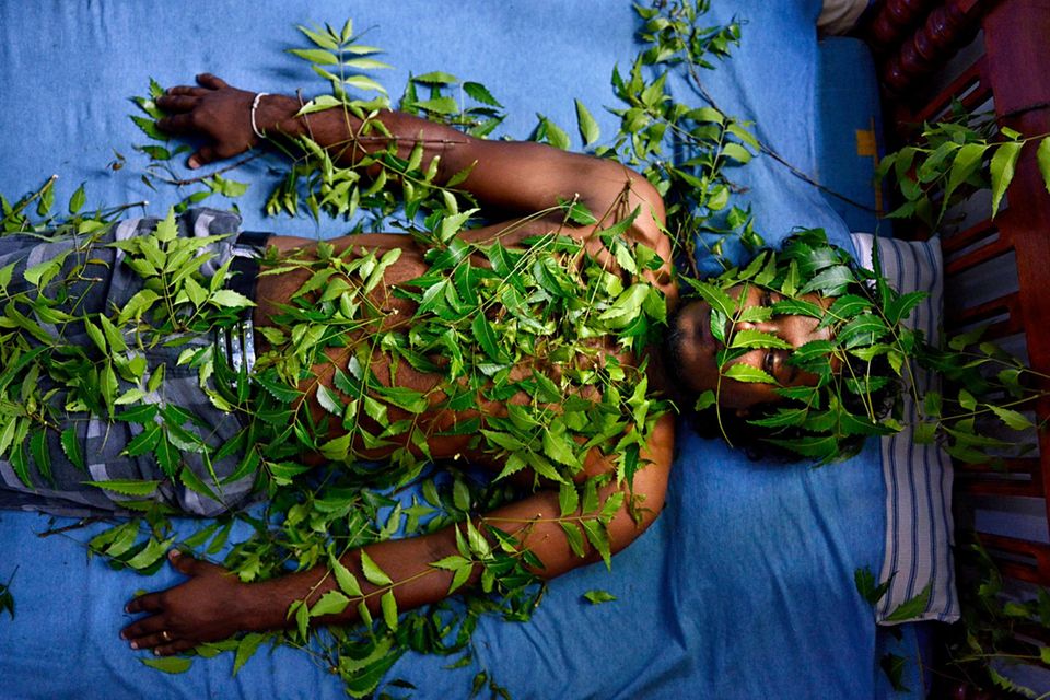 Sri Lanka, Ittapane, Pateinten mit Nimblaettern Engl.: Ayurveda, thearpy, cure, traditional, man, green, leaves, nim, foliage, nimfoliage, herbage. patient, 06.03.2015 1.5657