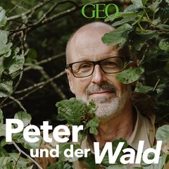 Peter und der Wald