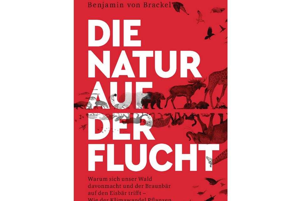 "Die Natur auf der Flucht" ist im April 2021 im Heyne-Verlag erschienen