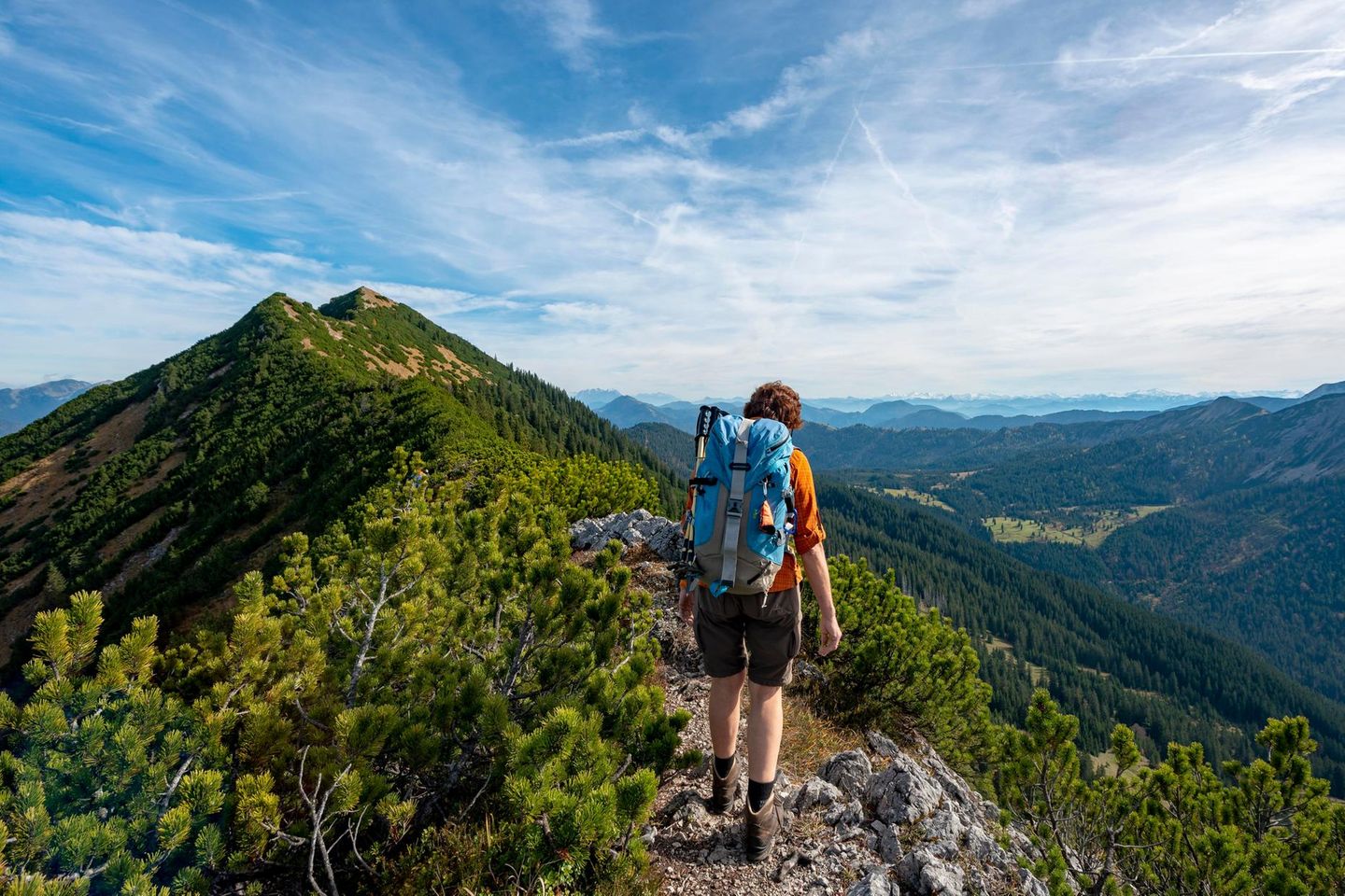 Westliche Blauberge Wanderin in den Blaubergen in Bayern
