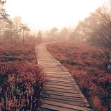 Bohlenweg durch das Schwarze Moor in der Rhön im Herbst