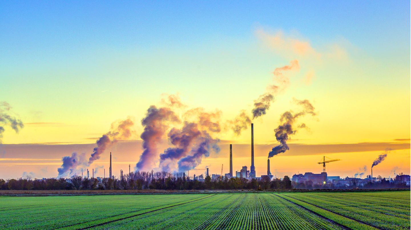 Industriekompex am Rand von Frankfurt: Klimaschutz betrifft nicht nur Industrie und Handel - sondern jede(n)
