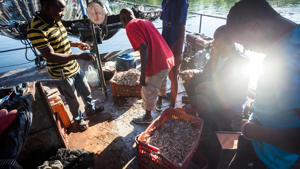 Sianwonga, Kariba dam, Zambia - Most fishermen at lake Kariba are Tonga. They moved from farming and breeding cattle to fishing after all their land has been flooded because of the dam. They are not catching so many fish because there was a lot of overf...