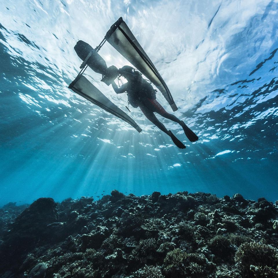D: 6 mOuter reef, Banban and Muli IsletsJonathan Lancelot (Tara dive &amp; hyperbaric chief) collecting plancton on a sampling site.
