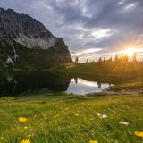 10.05.2021      "Der Schmetterling auf der Blume bringt die Sommergefühle, die ich beim Schießen dieses Fotos hatte perfekt rüber, wie ich finde."      Ort: Gaisalpsee Allgäu  Kamera: Sony a7ii Sony 16-35mm F4  Mehr Fotos von Dominik Brenzel