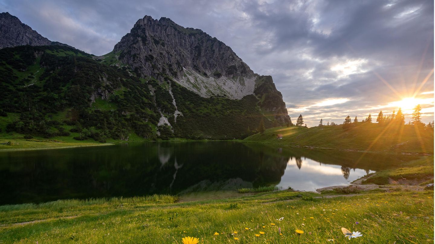 GEO LESERFOTO: 10.05.2021 "Der Schmetterling auf der Blume bringt die Sommergefühle, die ich beim Schießen dieses Fotos hatte perfekt rüber, wie ich finde." Ort: Gaisalpsee Allgäu Kamera: Sony a7ii Sony 16-35mm F4 Mehr Fotos von Dominik Brenzel 10.05.2021 "Der Schmetterling auf der Blume bringt die Sommergefühle, die ich beim Schießen dieses Fotos hatte perfekt rüber, wie ich finde." Ort: Gaisalpsee Allgäu Kamera: Sony a7ii Sony 16-35mm F4 Mehr Fotos von Dominik Brenzel