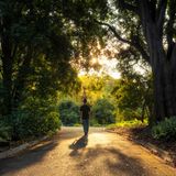 Exotische Pflanzen im Royal Botanical Gardens Melbourne