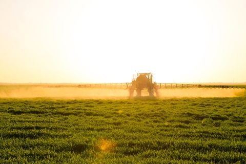 Risse in Kalkstein können dazu führen, dass Oberflächenwasser schnell ins Grundwasser gelangt - und damit auch Schadstoffe aus der Landwirtschaft