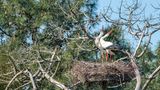 Le Teich: Besuch im Vogelpark