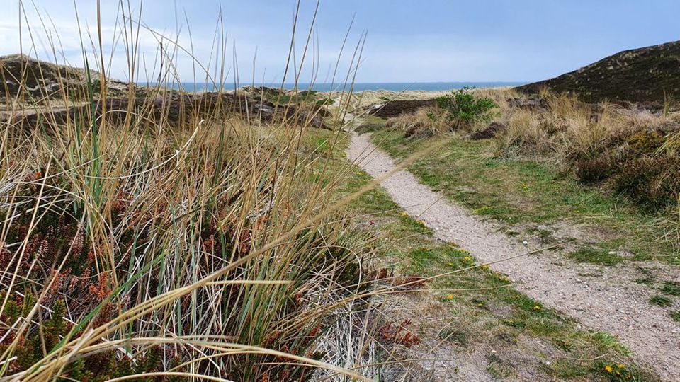 Dünenweg zum Meer