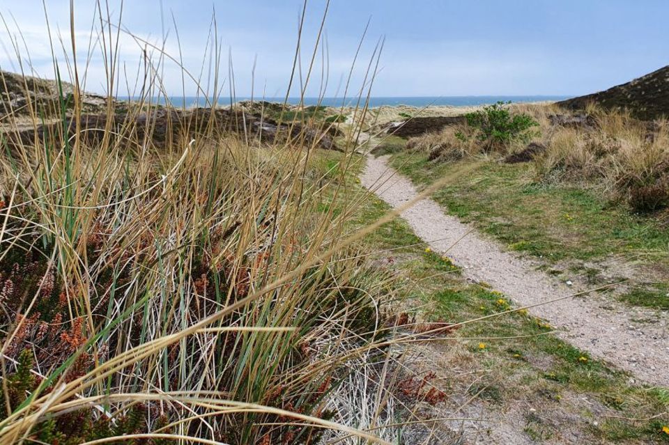Dünenweg zum Meer Dünenweg zum Meer