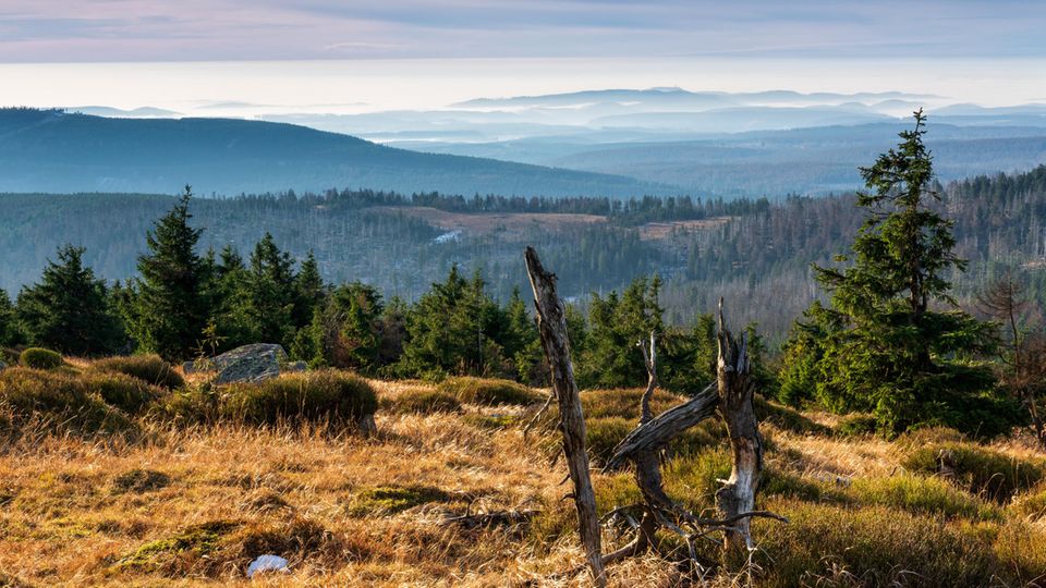 Hier mit Blick vom Brocken im Harz