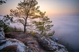 17.05.2021      "Dichter Hochnebel bedeckte an diesem Morgen weite Teile des Pfälzerwaldes. Knapp über der Nebelgrenze konnte ich diese fantastische Szenerie kurz nach Sonnenaufgang festhalten. Im Vordergrund der für den Pfälzerwald typische Buntsandsteinfels mit Wetterkiefer, im Hintergrund ein dichtes Nebelmeer mit herausschauenden Baumkronen und der aufgehenden Sonne."      Kamera: Sony a7iii + Tamron 17-28mm f/2,8  Mehr Fotos von Philipp