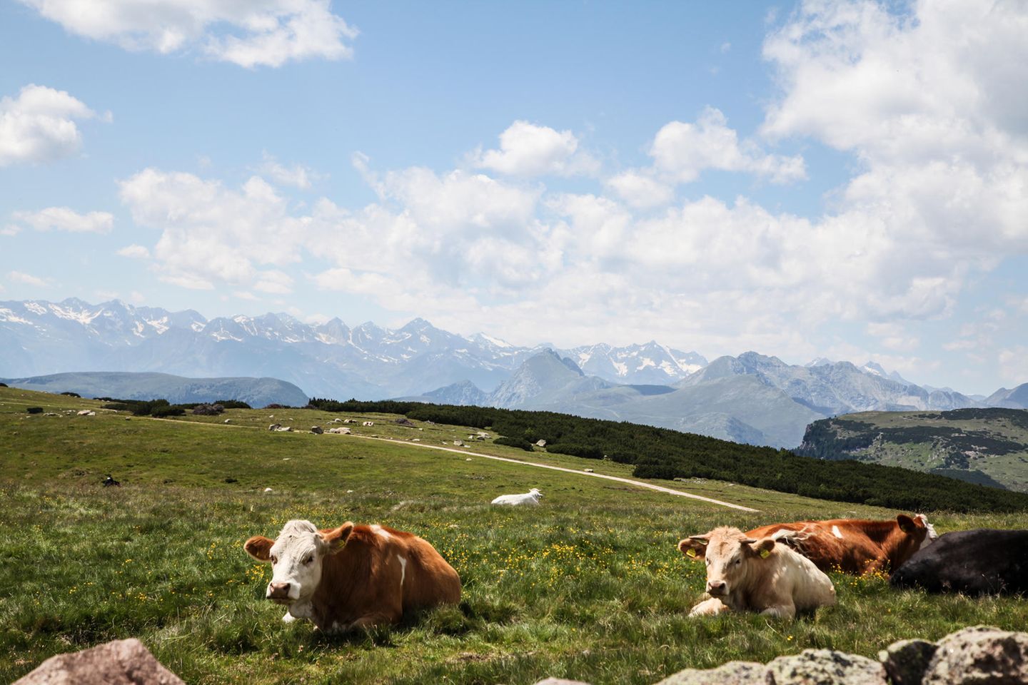 Auf der Hufeisentour mit Aussicht auf das Rittner Horn