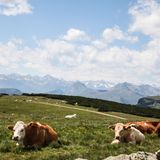 Auf der Hufeisentour mit Aussicht auf das Rittner Horn