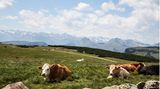 Auf der Hufeisentour mit Aussicht auf das Rittner Horn