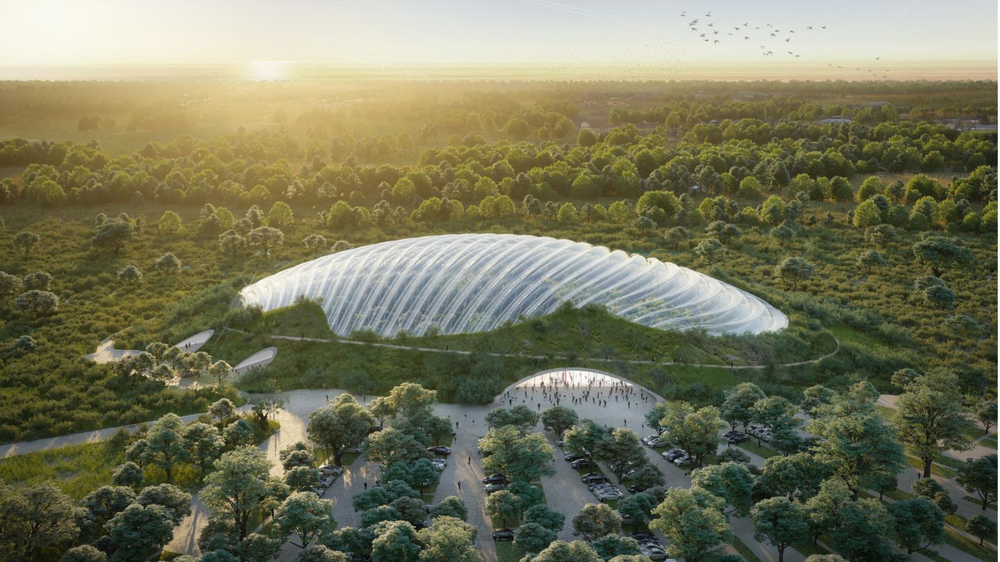 Tropicalia Außenansicht