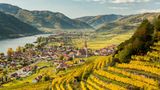 Weißenkirchen am Welterbesteig Wachau am sonnigen Herbsttag