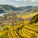 Weißenkirchen am Welterbesteig Wachau am sonnigen Herbsttag