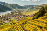 Weißenkirchen am Welterbesteig Wachau am sonnigen Herbsttag