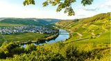 Am Moselsteig mit Blick auf das Moseltal und den Ort Trittenheim