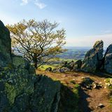Hochrhöner - Blick von der Wasserkuppe