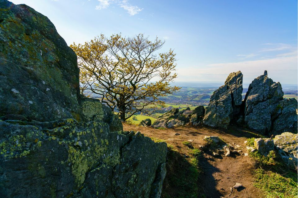 Hochrhöner: auf Wanderwegen durch's Biosphärenreservat Rhön - [GEO]