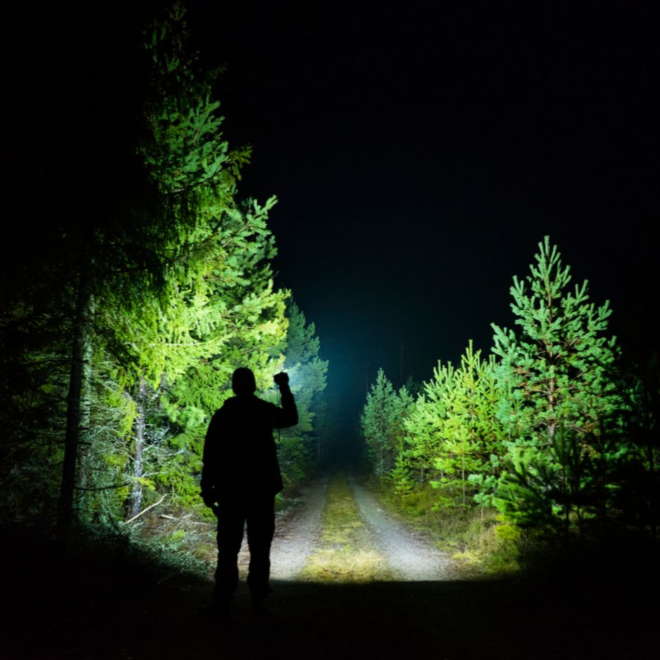 Joachim Bago / Shutterstock