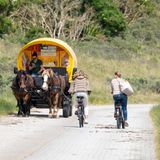 Kutsche fährt auf Juist